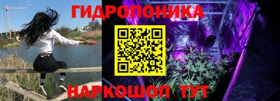 МДПВ Краснознаменск