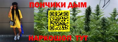 МДПВ Краснознаменск