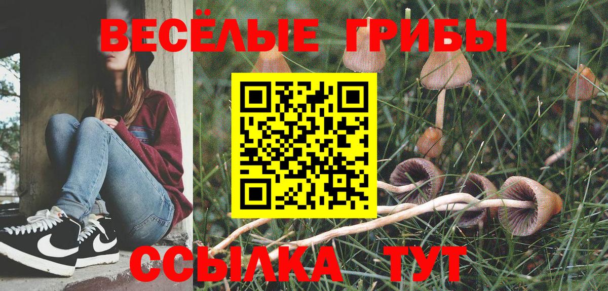 Галлюциногенные грибы Cubensis Шелехов