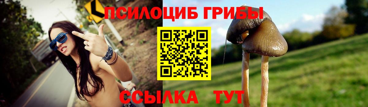 Шелехов  что такое   Вход с VPN  Псилоцибиновые грибы мухоморы 